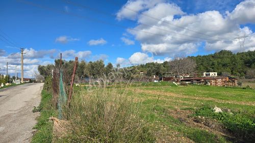 Urla Kuşçular'da Satılık 16.907,37 M2 Arazi