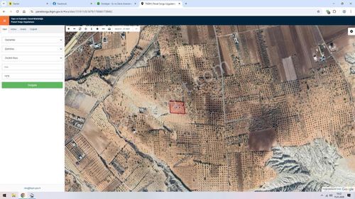 Aşina'dan Zeytinlide Satılık 4400 M2 Zeytin Ve Fıstık