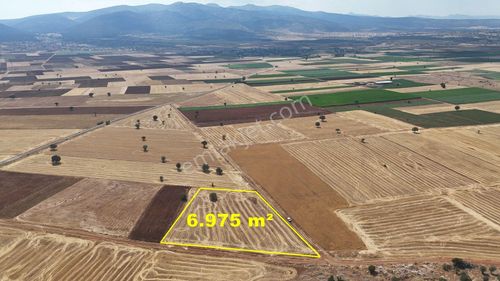 Konya / Akören / Karahüyük Mahallesinde 6.975 M² Müstakil Tapulu Tarla