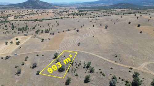 Konya / Güneysınır / Mehmetali Mahallesinde 993 M² Müstakil Tapulu Tarla