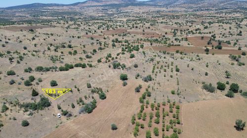 Konya / Güneysınır / Mehmetali Mahallesinde 183 M² Müstakil Tapulu Tarla