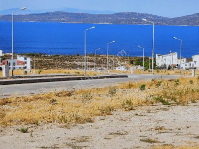 Mordoğan Emlaktan Kamukentte 477 Adada Satılık Arsa