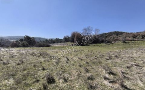 Vizyon Gayrimenkul'den Az Miktarla Toprak Sahibi Olma Şansı