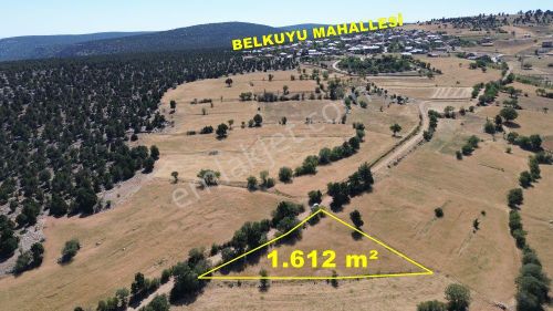 Konya / Akören / Belkuyu Mahallesinde 1.612 M² Müstakil Tapulu Tarla