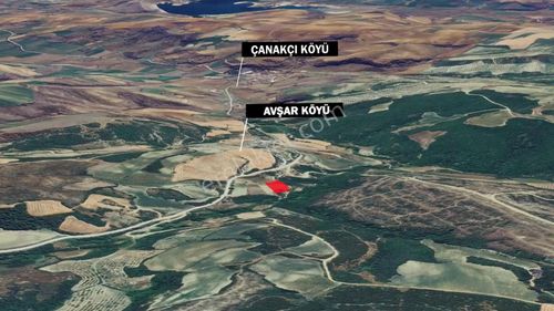 **ufak Sermaye İle**büyük Kaznç Garantisi**tıny Hose Koymaya Uygun** Köyimar Sınırına Yakın Fırsat