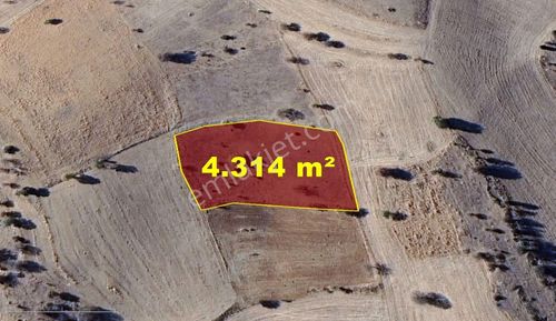 Konya / Akören / Belkuyu Mahallesinde 4.314 M² Müstakil Tapulu Tarla