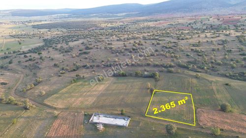 Konya / Akören / Hacılar Mahallesinde 2.365 M² Müstakil Tapulu Tarla