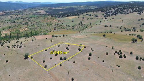 Konya / Akören / Belkuyu 4.949 M² Hesaplı Satılık Tarla