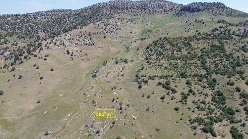 Konya / Hadim / Küplüce Mahalleisinde 582 M² Müstakil Tapulu Tarla