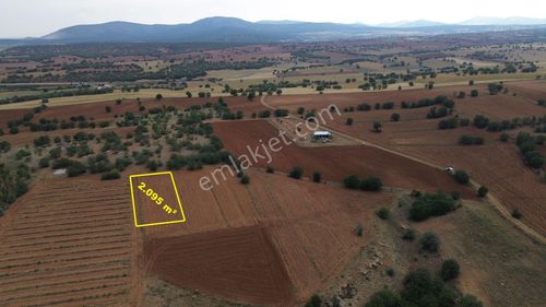 Konya / Çumra / Apasaraycık Mahallesinde 2.095 M² Müstakil Tapulu Tarla