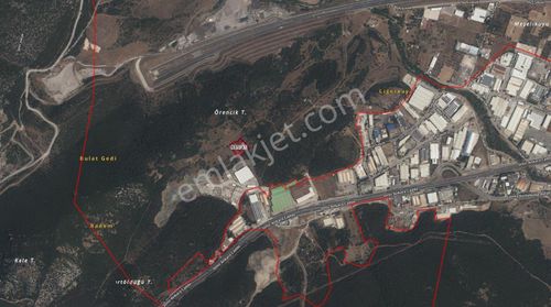 Binax Bakırçay Gayrimenkulden Satılık Tarla-zeytinlik