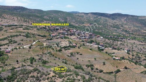 Konya / Hadim / Göynükkışla Mahallesinde 325 M² Müstakil Tapulu Bahçe