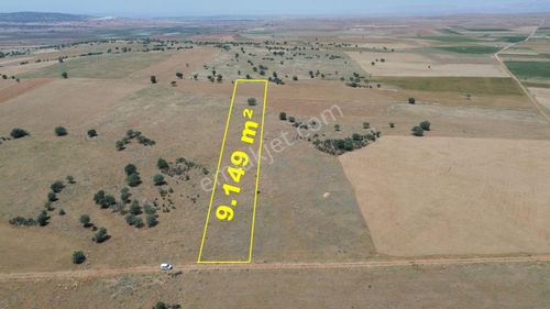 Konya / Akören / Karahüyük Mahallesinde 9.149 M² Müstakil Tapulu Tarla