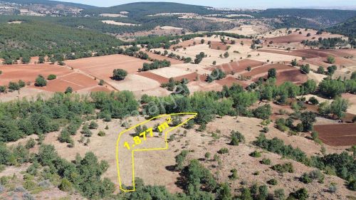 Konya / Doğanhisar / Kemer Mahallesinde 1.877 M² Hisse Tapulu Tarla