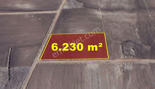 Konya / Akören / Orhaniye Mahallesinde 6.230 M² Müstakil Tapulu Tarla