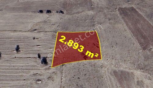 Konya / Akören / Tülce Mahallesinde 2.893 M² Müstakil Tapulu Tarla
