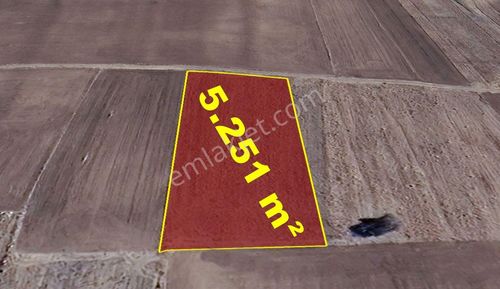 Konya / Akören / Orhaniye Mahallesinde 5.251 M² Müstakil Tapulu Tarla