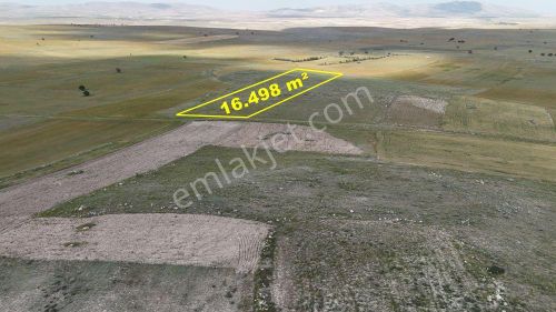 Konya / Akören / Orhaniye Mahallesinde 16.498 M² Müstakil Tapulu Tarla