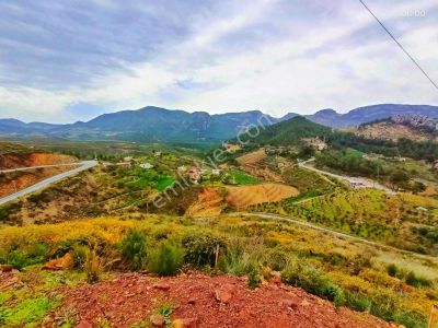 Alanya Fakırcalı Da Satılık 4500 M2 Tarla