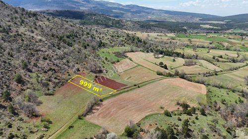Konya / Doğanhisar / Kemer Mahallesinde 999 M² Müstakil Tapulu Tarla