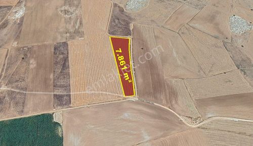 Karaman / Kazımkarabekir Timsal Mahallesinde 7.861 M² Müstakil Tapulu Tarla