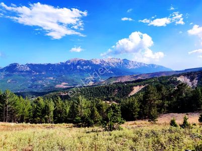 Kae Emlaktan Efes Sitesi Üzerinde 400 M2 Satılık Arsa