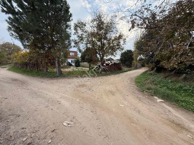 📌nazilli İsabeyli'de 10 Dönüm Satılık Tarla 📌