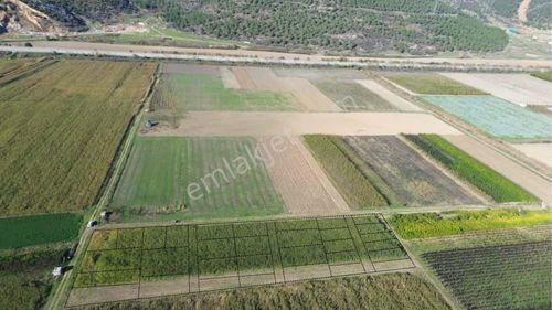 Yenişehir Koyunhisar'da Tapusu Hazır Asfalta Yakın Hobi Bahçesi