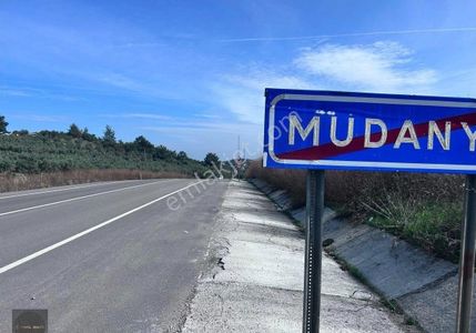 Altıntaş Yolunda Asfalta Cephe İmarlı Arsa Detaylı