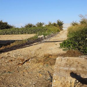 Kumköy'de Fırsat Yatırımlık Tarım Arazisi