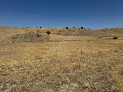 Konya Akören Tülce’de 1.785 M² Satılık Tarla | Tapulu | Uygun Fiyat