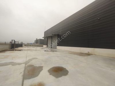 Sakarya Erenler Satılık 3.772 M2 Fabrika & Üretim Tesisi