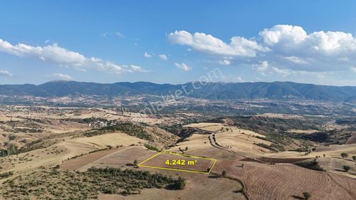 Amasya / Hamamözü / Sarayözü Nde 4.242 M² Müstakil Tarla