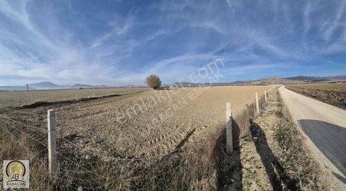 Kadastro Yoluna Çift Cepheli Sondajlı Ve Altyapılı Dev Arazi