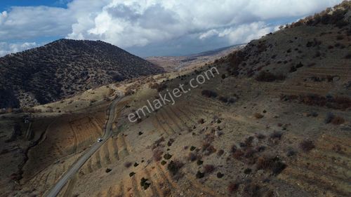 Konya / Hadim / Aşağıeşenler Mahallesinde 1.360 M² Müstakil Tapulu Bağ