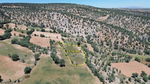 Konya / Akören / Belkuyu Mahallesinde 3.561 M² Müstakil Tapulu Tarla