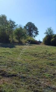 Sakarya/kaynarca/gürpınar Mahallesinde Yarısı Fındık Bahçesi Satılık Tarla