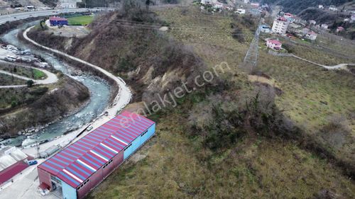 Trabzon'da Satılık Arazi