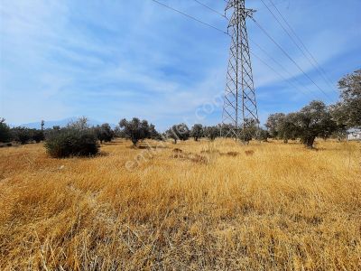 Kemalpaşa Armutluda Otobana Yakın Yatırımlık Kupon Arsa