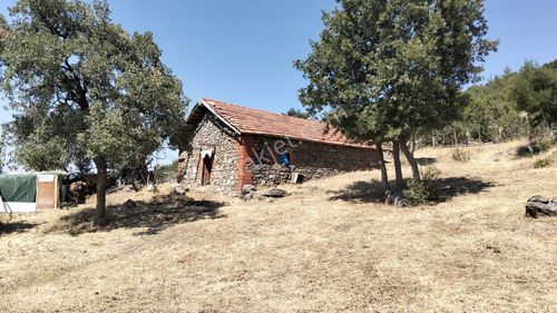 Artı Emlak'tan Havran Hallaçlar'da Satılık 6.550 M2 Tarla