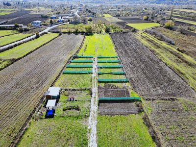 Dialog Altun'dan Melik'te Fırsat Hobi Bahçesi Son Parseller