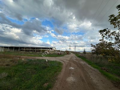 Dialog Altun'dan Yenişehir/barcın 3731 M2 Tarla