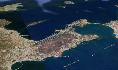 Golden Globy, Ayvalık Cunda Adasında Denize 200 Metre Mesafede Satılık 1.874 M2 Zeytinlik