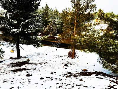 Kar Emlaktan Alpu Yaylasında 485 M2 Satılık Arsa