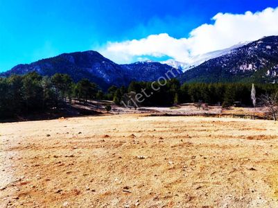 Kar Emlaktan Yenikonacık Efes Sitesi Yanı Çevre Duvarı Yapılmış 400 M2 Satılık Arsa