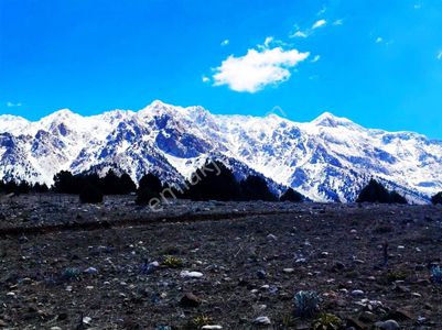 Kar Emlaktan Aşçıbekirli Fenese Mevkiinde 400 M2 Satılık Arsa