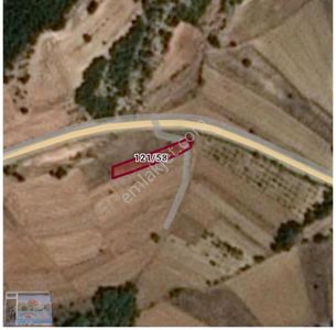 Bilecik Gölpazarı Dokuz Köyünde 1000 M2 Köye Ve Yola Yakın Tarla