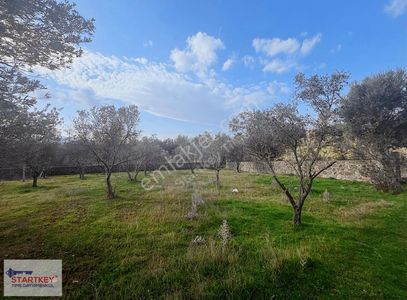 Yakaköy Profesörler Sitesi Satılık 350 Mt2 Arazi