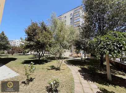 Sarılar Gayrimenkul Batıkent Site İçi Arakat 3+1 Kiralık Daire