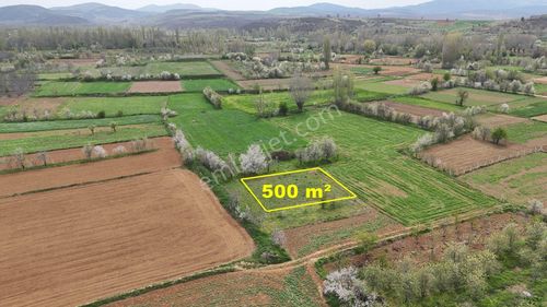 Konya / Doğanhisar / Zafer Mahallesinde 500 M² Müstakil Tapulu Tarla